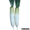 Sell White Turnip