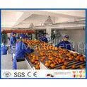 Fruit Juice Processing Equipment With Citrus / Tangerines / Orange Juice Extractor Machine