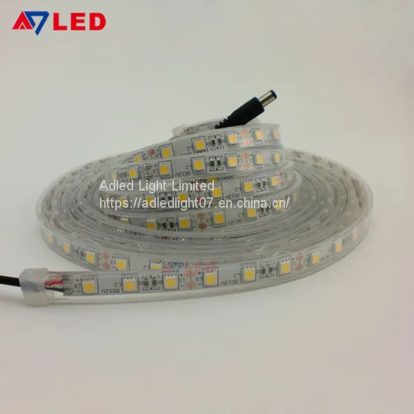 9 Years Factory High Lumen 24v 2000k 2200k 2400k Outdoor Silicone Tube 5050 Smd Led Strip Lights photo-3