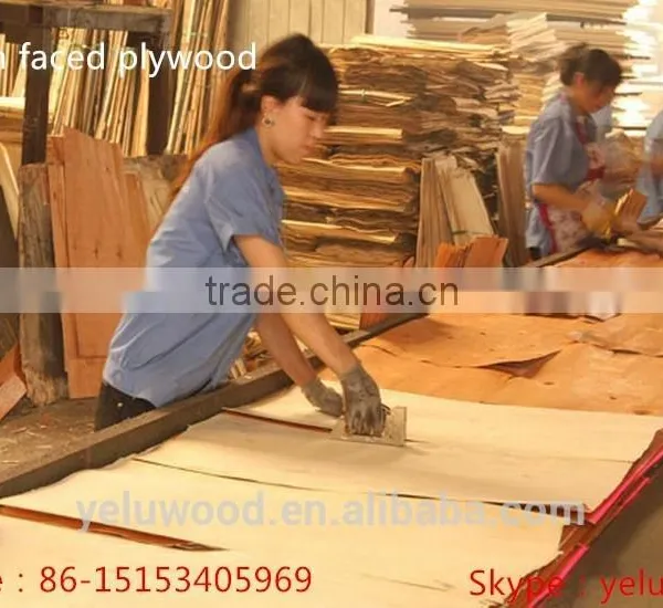 Best Price for Plywood Sheet / Best Quality Plywood photo-3