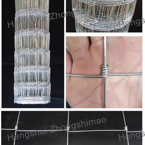 Wire Mesh for Grassland Wire Mesh Fence photo-4