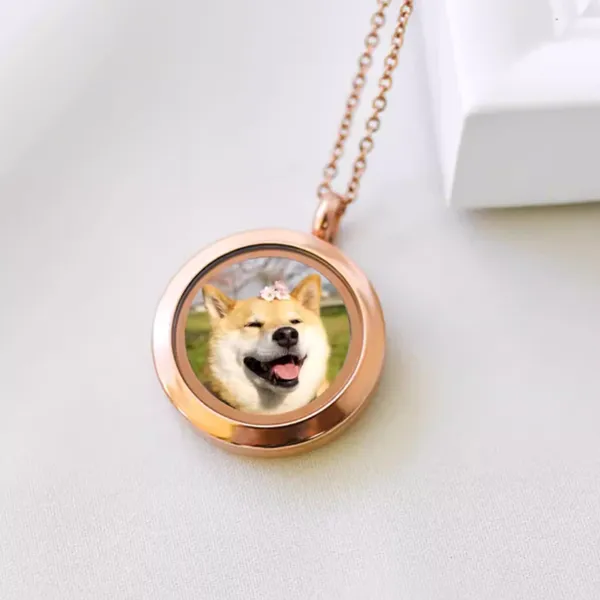 Durable Zinc Alloy Pet Memorial Pendant Necklace With Secure Lobster Clasp photo-2