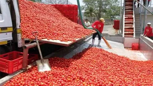 Big Capacity Hot Selling Tomato Sauce Production Line Tomato Sauce Processing Machinery photo-4