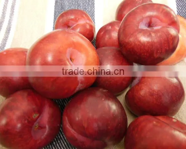 Fresh Apples , Cassava,pears, Plums for Sale
