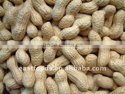 Roasted Peanut