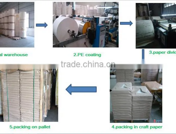 190~200 One Side Virgin Pulp pe Coated Paper Bleach Board/paper Sheet photo-4