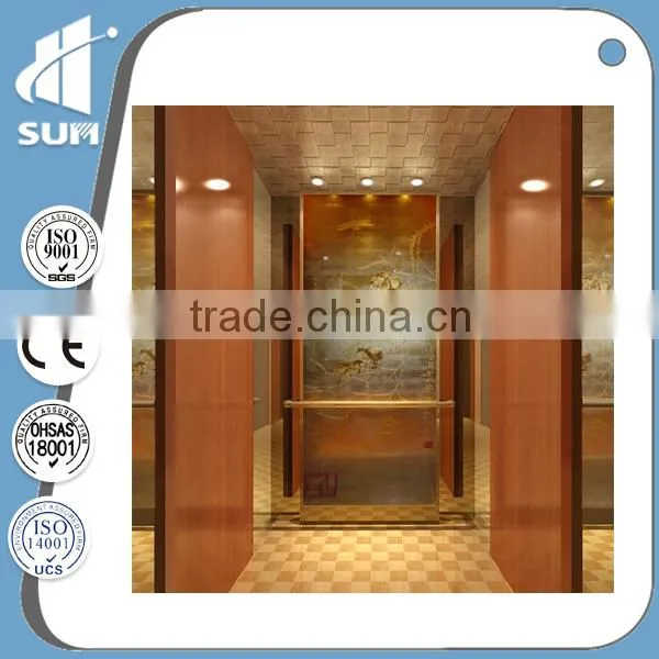 CE Approved Stainless Steel 250kg Passenger Lift photo-4