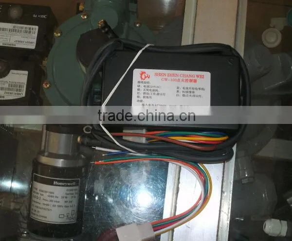 Manufacturer Black Box 220-240VAC Electric NG and LPG Gas Lighter for Boiler Parts photo-3