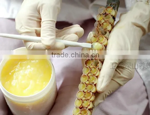 Fresh Royal Jelly Good for Health Care photo-6