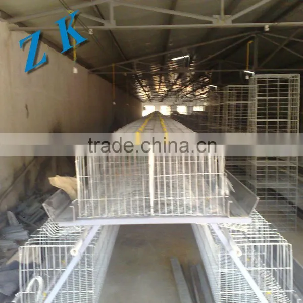 Galvanized Steel for Chicken Cages photo-5