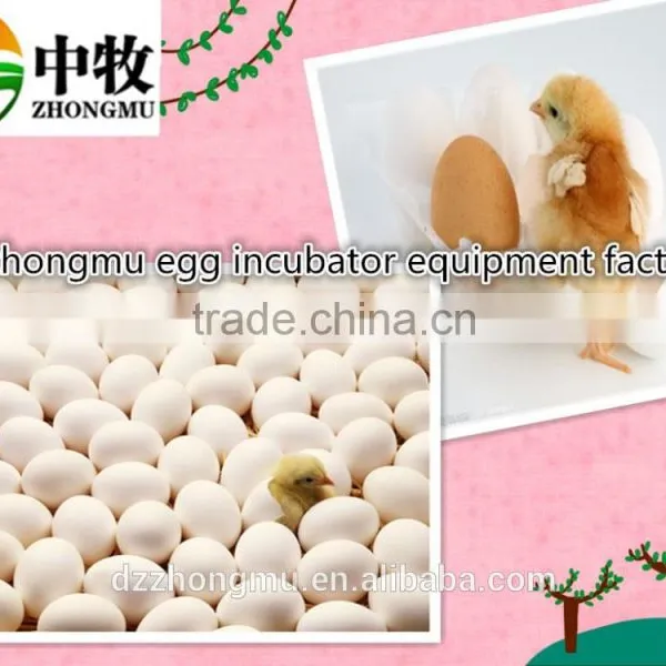 Automatic Microcontroller 88 Small Mini Incubator/mini Egg Incubator for Sale/ZM-88 photo-4