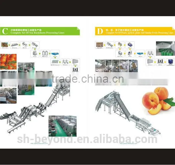 Plum Fruit Processing Line