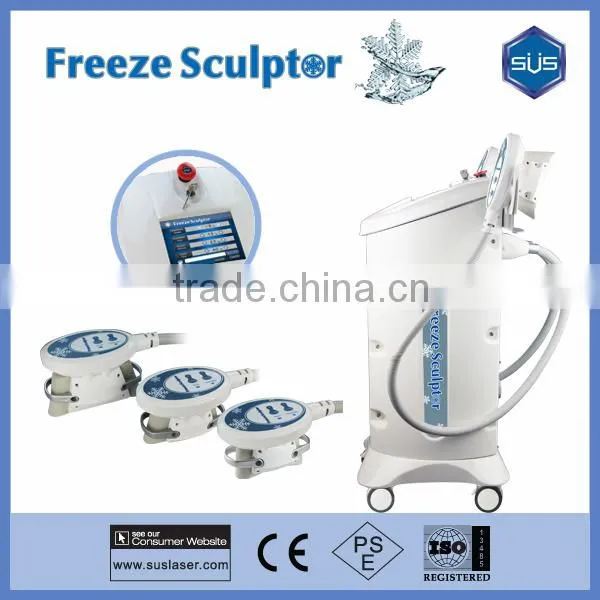 Distributor Wanted Cryo Slimming Machine CE/ISO Approved photo-4