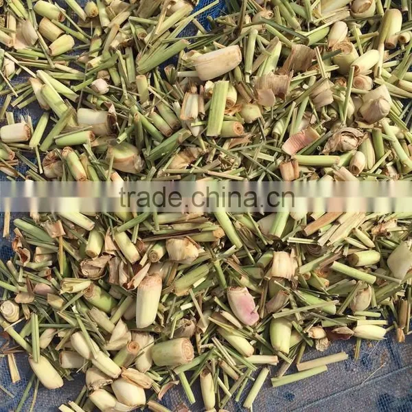 Dried Lemon Grass Herbal Product Thai Herbal Medicine