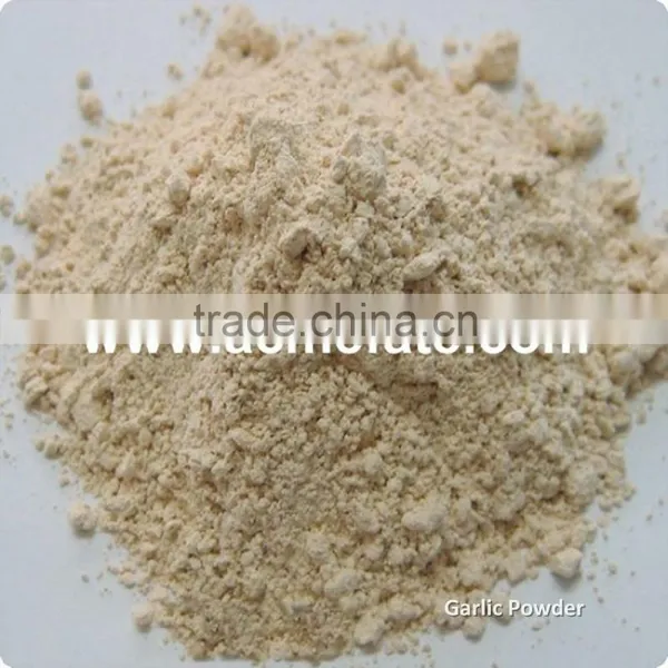 Chinese Hot Products Single Spices Dehydrated Garlic Powder photo-6