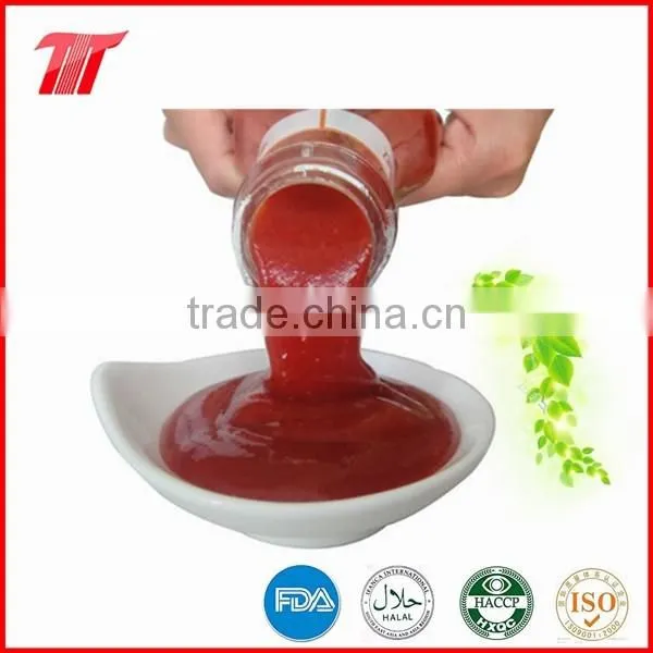 Organic and Natural Color Tomato Ketchup in Plastic Bottle photo-2