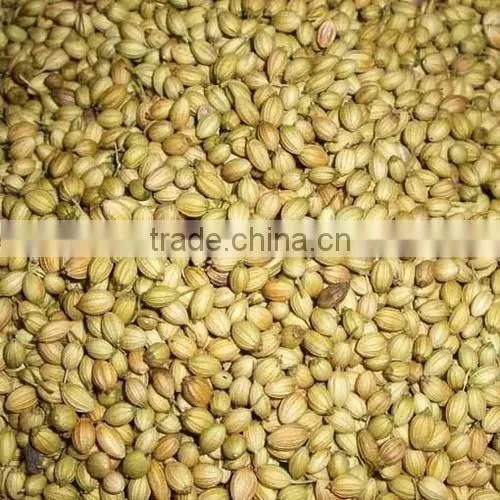 Superior Quality Indian Herbs and Spices photo-6