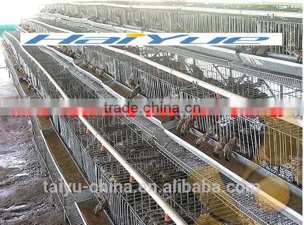 Battery Cage Quail