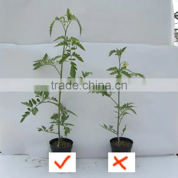 A Great Fertilizer TE Trace Element Fertilizer photo-5