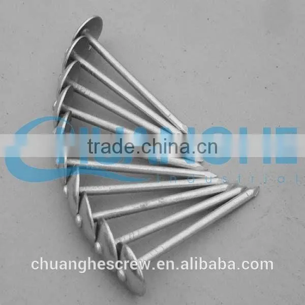 Roofing Nails With Twisted Shank photo-3