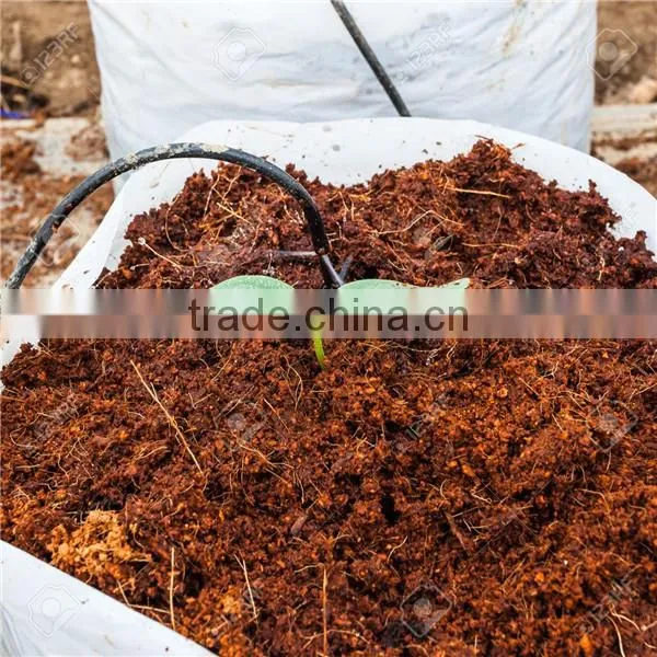 6 Ton per Hour High Moisture Content 80% Cocopeat Dryer/coco Peat Drying Machine With Good Drying Efficiency photo-6