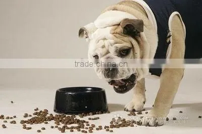 The Newest Discount Dog Cat Pet Food Manufacturing Machine photo-5