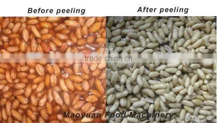 High Quality Stainless Steel Peanut Kernel Peeling Machine 008613176937205 photo-4