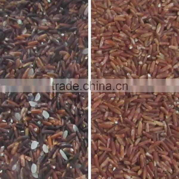Rice Color Sorter Machine Mini Rice Color Sorter photo-4