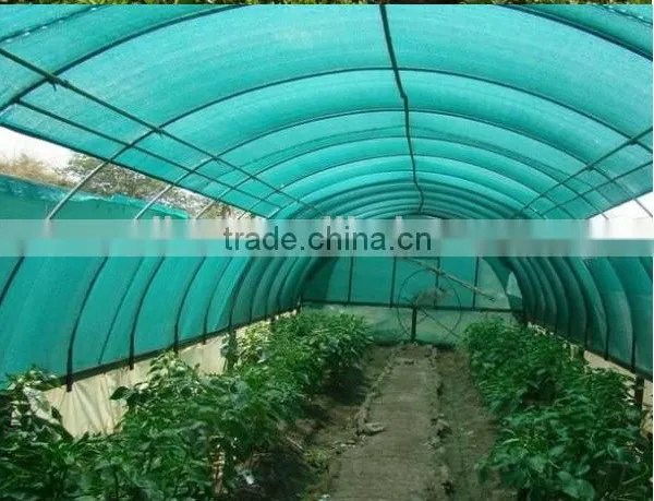Tunnel Greenhouses With Supporting Systems photo-5