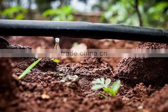 High Quality LDPE Drip Irrigation Pipe With Factory Price photo-5