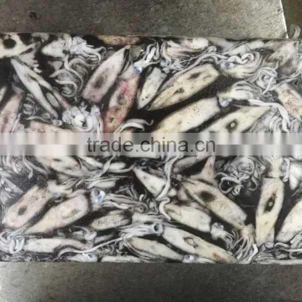 Wholesale 100g Whole Round BQF Block Frozen Loligo From China photo-3