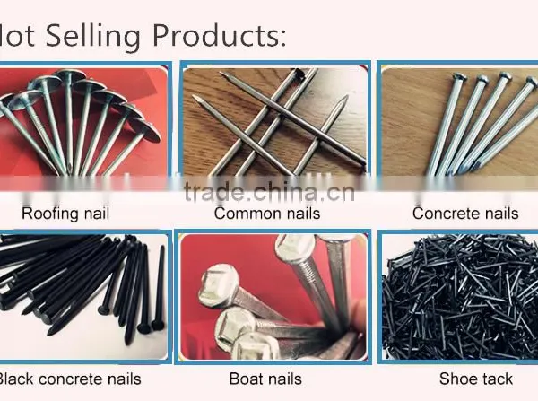 Polish Common Wire Nails photo-5