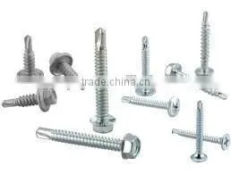 Made in Taiwan Steel Stainless Steel Copper TRIM OVAL HEAD PHIL WITH SPECIAL WASHERSELF DRILLING SCREW photo-2