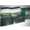 Brochure Printing