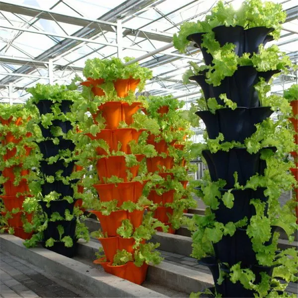 Intelligent Glass Greenhouse With Hydroponic System photo-2