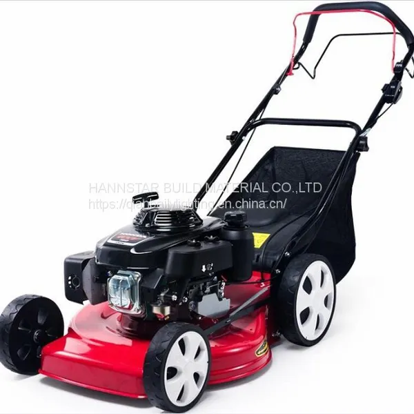 Power Tools Gasoline Engine Hand Push 173cc Garden Low Noise Professional Lawnmower photo-3