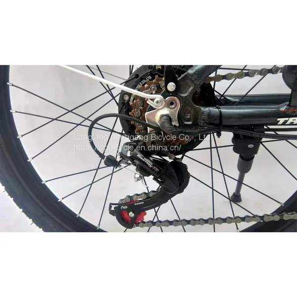 Aluminum Alloy Electric Touring Bike 7speed 24*15 E-Bike photo-3