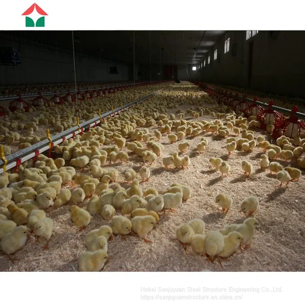 Full Automated Comlit Chicken House photo-4