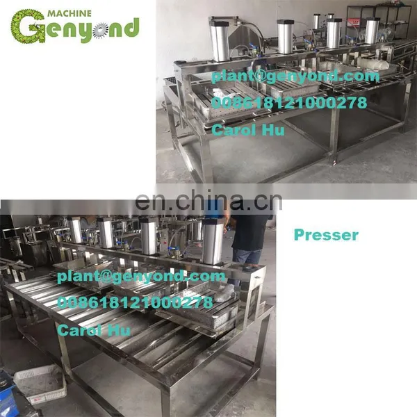 Factory Hot Sales Machine to Make Cheese photo-2