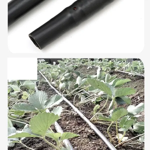 Agriculture Drip Irrigation Pipe Drip Tube photo-4