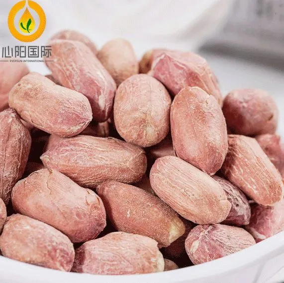 Crop Blanched Peanut Kernels White Skin Peanut Kernels