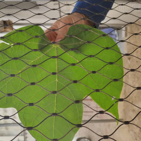 Stainless Steel Wire Rope Suspension Bridge; Stainless Steel Rope Protective Netting; Zoo Cage Wire Mesh photo-4