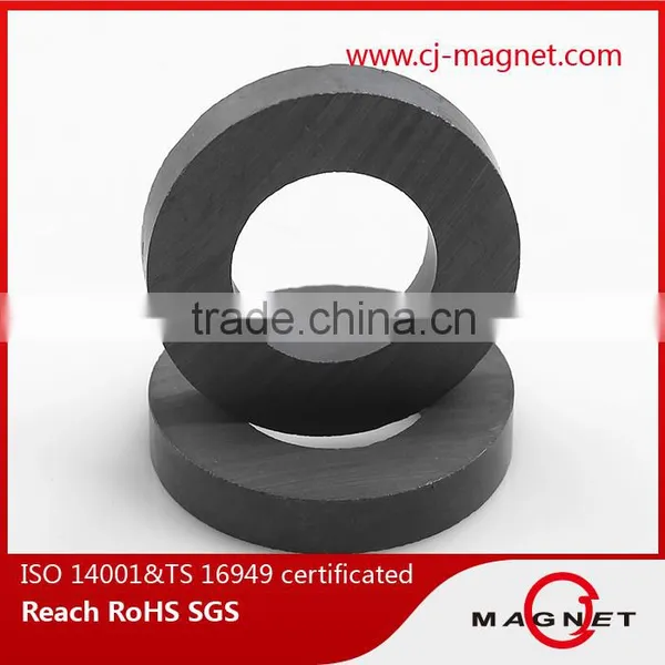 China Y20 Ferrite Magnets for Speakers photo-5