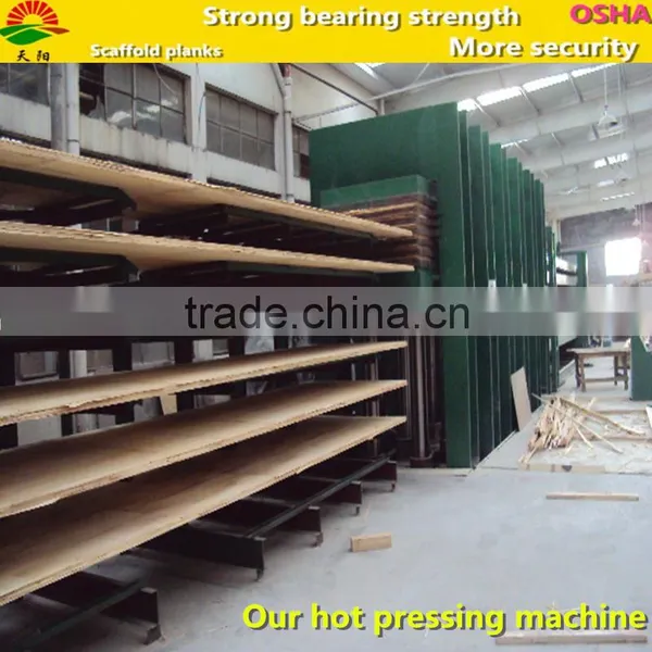 Shandong Ty008 OSHA Scaffolding Board for Sale photo-4