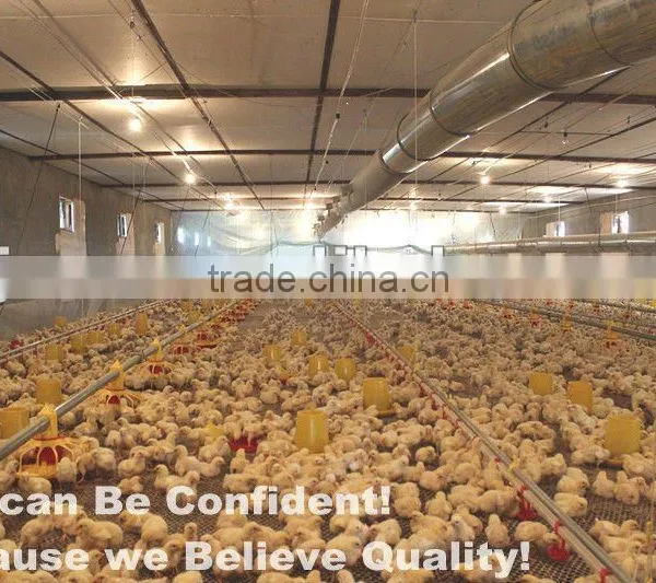 Hot Sale Birdsitter Hot Dip Galvanized Chicken Farming Poultry Feeding System photo-3