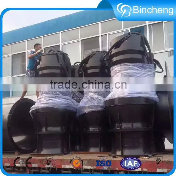 Electric Water Impeller Pump Submersible Swimming Pool Pump Supplier's Choice photo-5