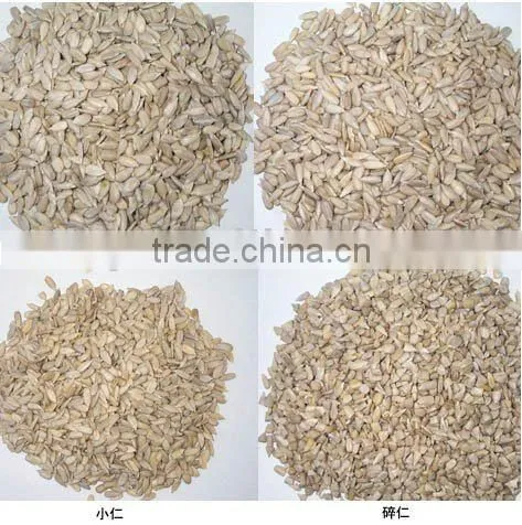 2010 Sunflower Kernels