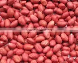 Raw Peanuts Kernel