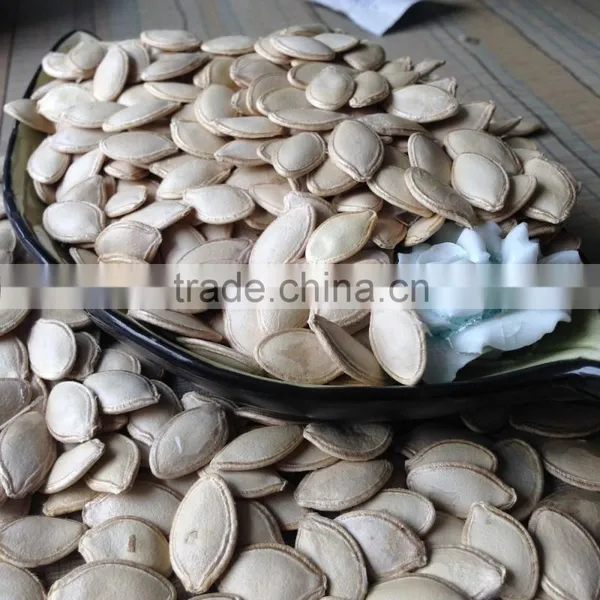 High Quality Wholesale Shine Skin Pumpkin Seeds photo-3