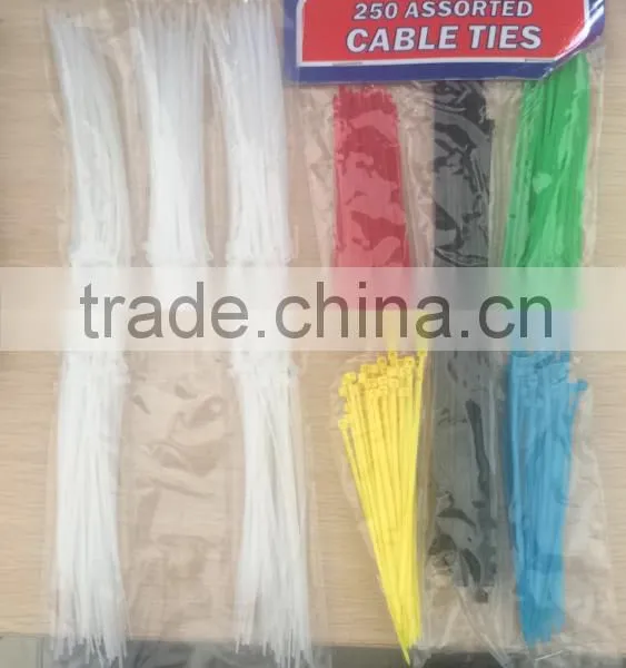 WHOLESALES 8*250 PA66 Nylon Cable Ties (UL Certificate) photo-2